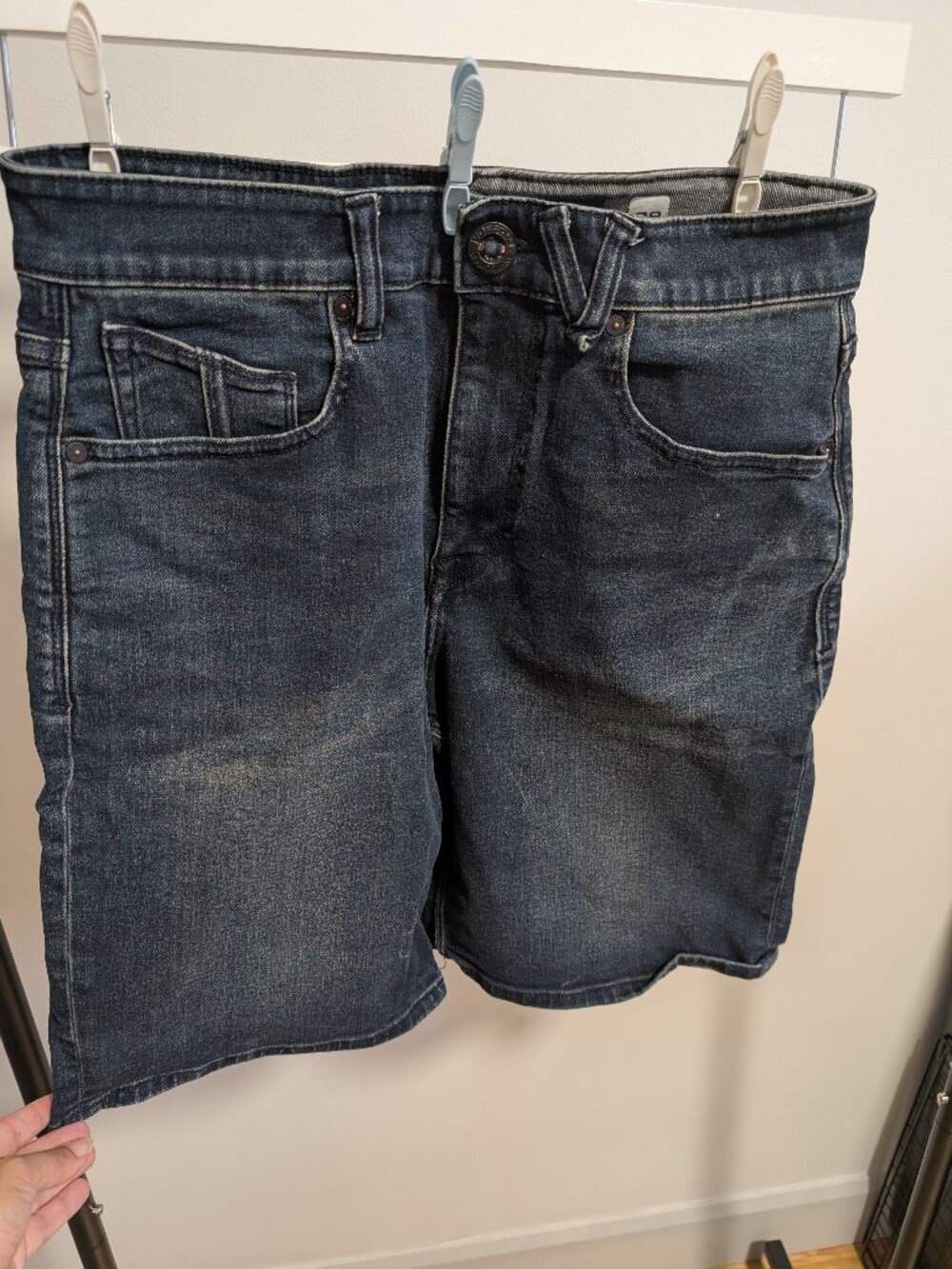 Volcom Men jorts